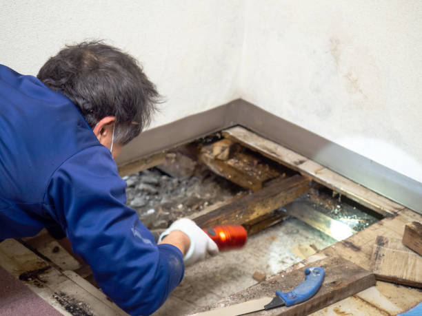 Best Water Damage Restoration  in West Des Moines, IA