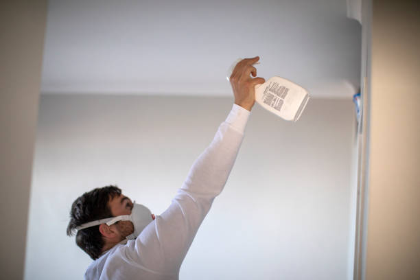  West Des Moines, IA Mold Removal Pros