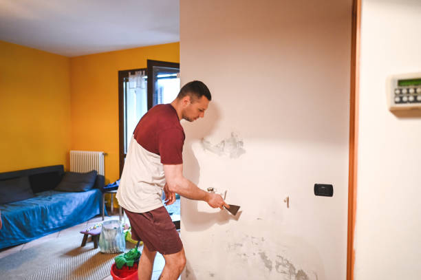 Best Mold Damage Repair  in West Des Moines, IA