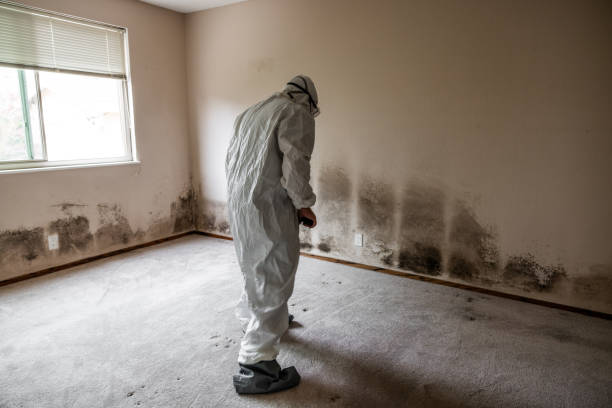 Best Commercial Mold Removal  in West Des Moines, IA